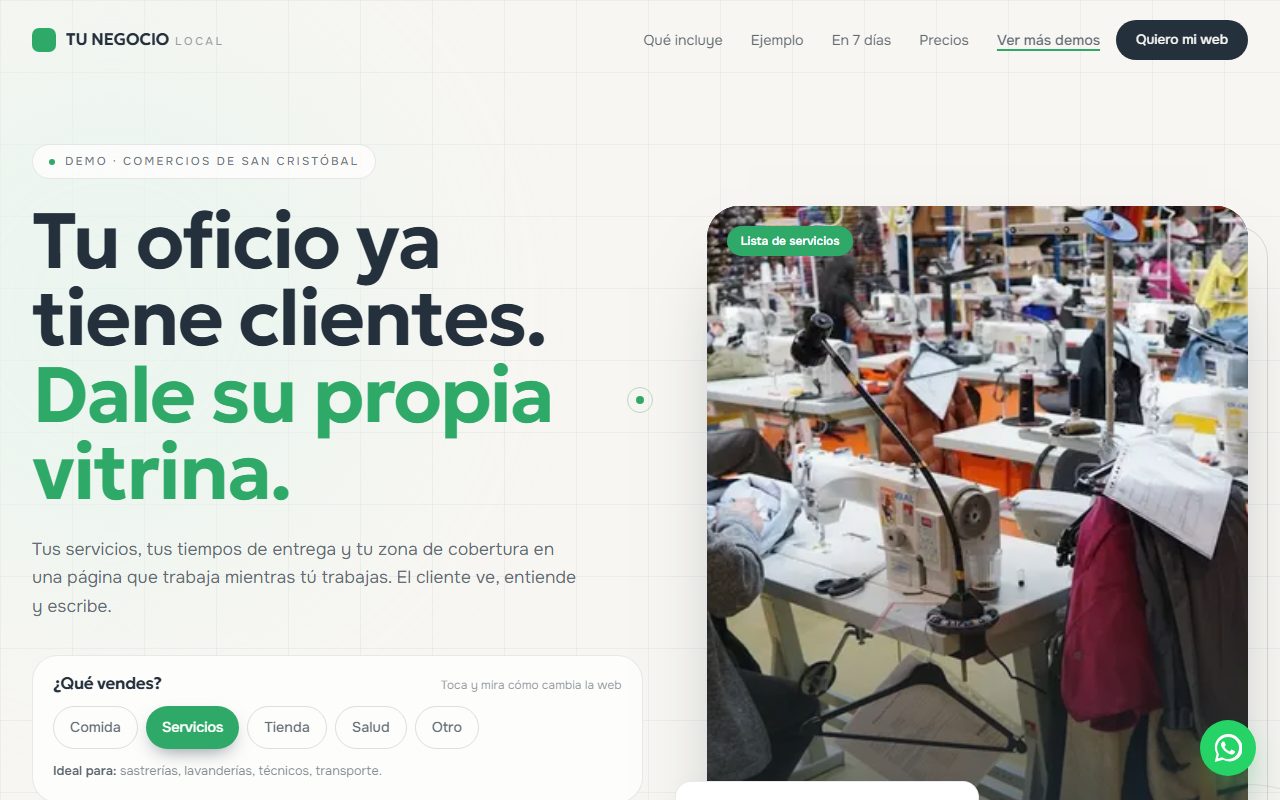 Diseño de página web para cualquier otro rubro — captura del demo de muestra TU NEGOCIO Local
